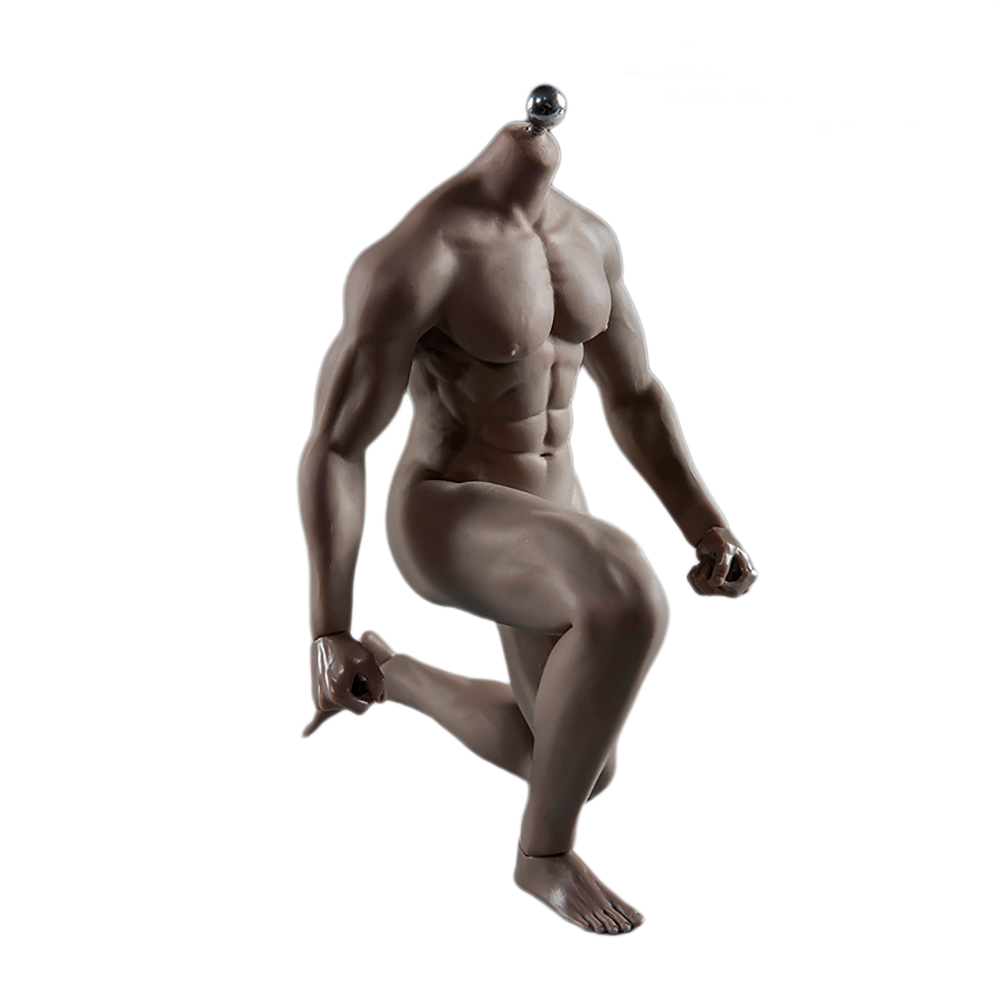 Super Flexible Male Seamless Body with Stainless Steel Ball Joints, 28 Points Articulations, for 1/6 Scale Action Figure
