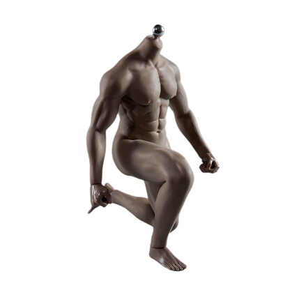 Super Flexible Male Seamless Body with Stainless Steel Ball Joints, 28 Points Articulations, for 1/6 Scale Action Figure