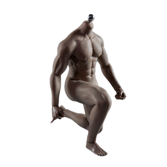Super Flexible Male Seamless Body with Stainless Steel Ball Joints, 28 Points Articulations, for 1/6 Scale Action Figure