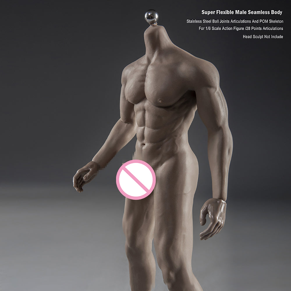 Super Flexible Male Seamless Body with Stainless Steel Ball Joints, 28 Points Articulations, for 1/6 Scale Action Figure