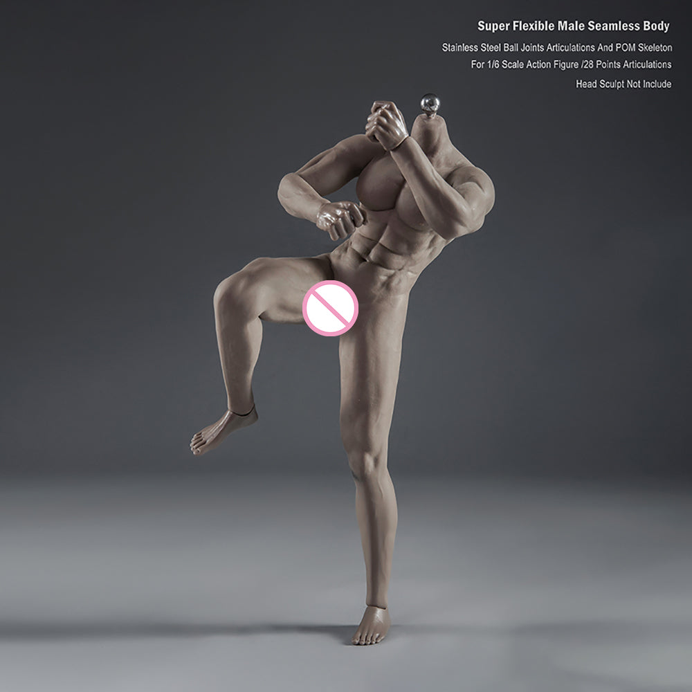 Super Flexible Male Seamless Body with Stainless Steel Ball Joints, 28 Points Articulations, for 1/6 Scale Action Figure