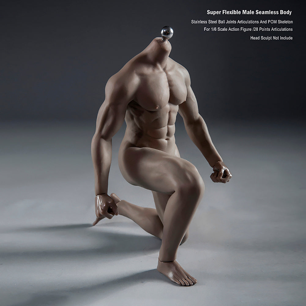 Super Flexible Male Seamless Body with Stainless Steel Ball Joints, 28 Points Articulations, for 1/6 Scale Action Figure