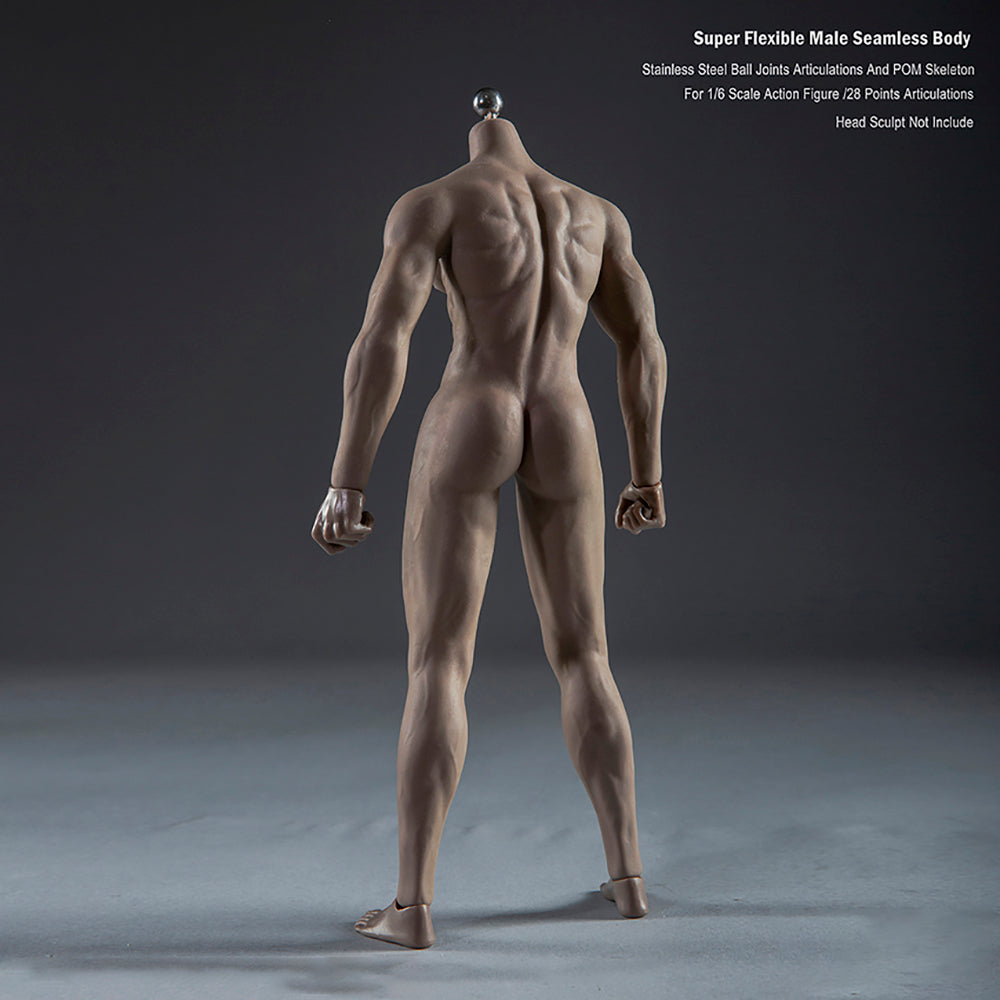 Super Flexible Male Seamless Body with Stainless Steel Ball Joints, 28 Points Articulations, for 1/6 Scale Action Figure